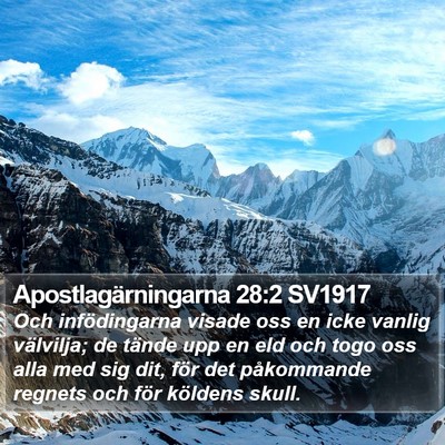 Apostlagärningarna 28:2 SV1917 Bible Verse Image