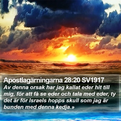 Apostlagärningarna 28:20 SV1917 Bible Verse Image