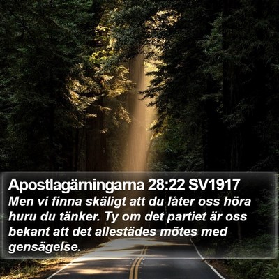 Apostlagärningarna 28:22 SV1917 Bible Verse Image