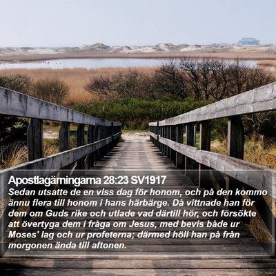 Apostlagärningarna 28:23 SV1917 Bible Verse Image