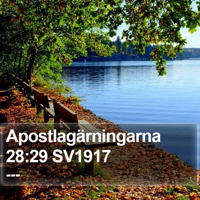 Apostlagärningarna 28:29 SV1917 Bible Verse Image