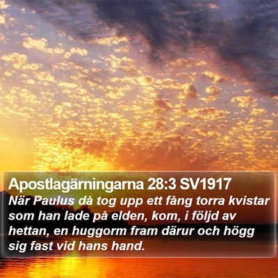 Apostlagärningarna 28:3 SV1917 Bible Verse Image