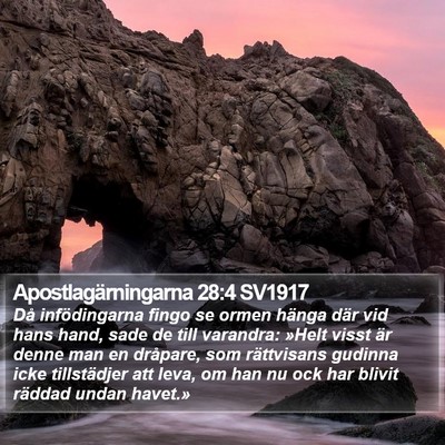 Apostlagärningarna 28:4 SV1917 Bible Verse Image