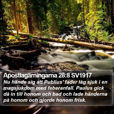 Apostlagärningarna 28:8 SV1917 Bible Verse Image