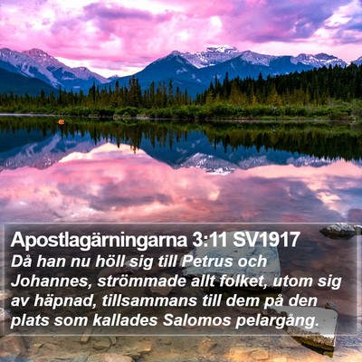 Apostlagärningarna 3:11 SV1917 Bible Verse Image
