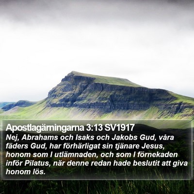 Apostlagärningarna 3:13 SV1917 Bible Verse Image