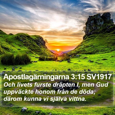 Apostlagärningarna 3:15 SV1917 Bible Verse Image