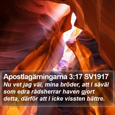 Apostlagärningarna 3:17 SV1917 Bible Verse Image