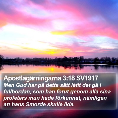 Apostlagärningarna 3:18 SV1917 Bible Verse Image