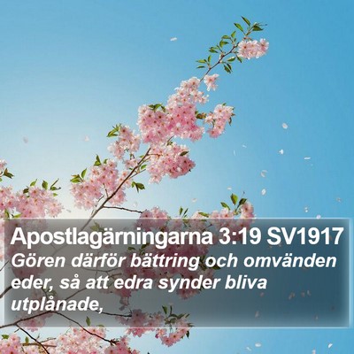 Apostlagärningarna 3:19 SV1917 Bible Verse Image