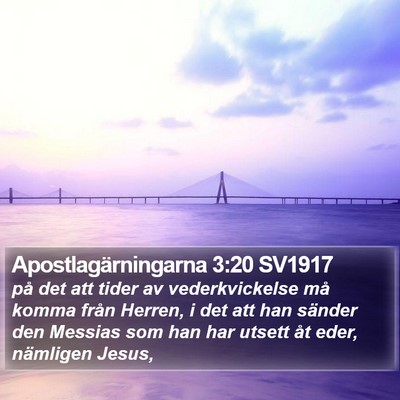Apostlagärningarna 3:20 SV1917 Bible Verse Image