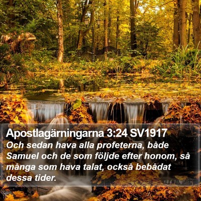 Apostlagärningarna 3:24 SV1917 Bible Verse Image