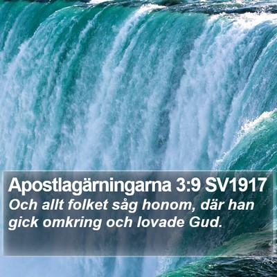 Apostlagärningarna 3:9 SV1917 Bible Verse Image