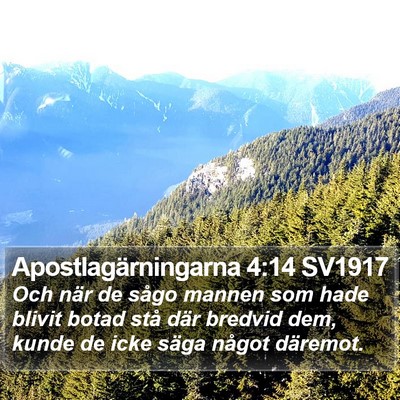 Apostlagärningarna 4:14 SV1917 Bible Verse Image
