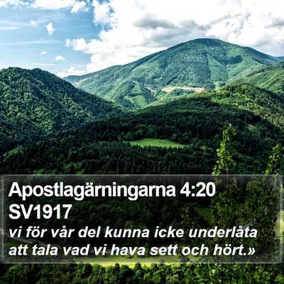 Apostlagärningarna 4:20 SV1917 Bible Verse Image