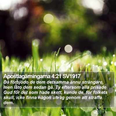 Apostlagärningarna 4:21 SV1917 Bible Verse Image