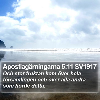 Apostlagärningarna 5:11 SV1917 Bible Verse Image