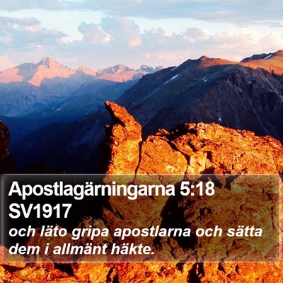 Apostlagärningarna 5:18 SV1917 Bible Verse Image