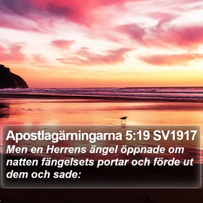 Apostlagärningarna 5:19 SV1917 Bible Verse Image