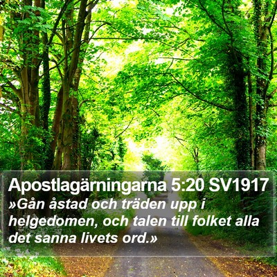 Apostlagärningarna 5:20 SV1917 Bible Verse Image