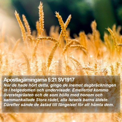 Apostlagärningarna 5:21 SV1917 Bible Verse Image