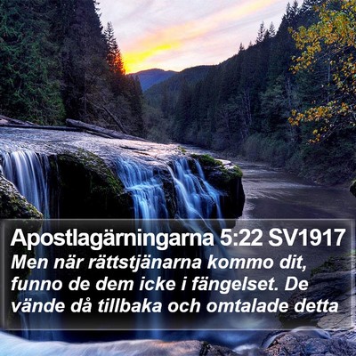Apostlagärningarna 5:22 SV1917 Bible Verse Image