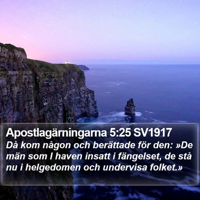 Apostlagärningarna 5:25 SV1917 Bible Verse Image