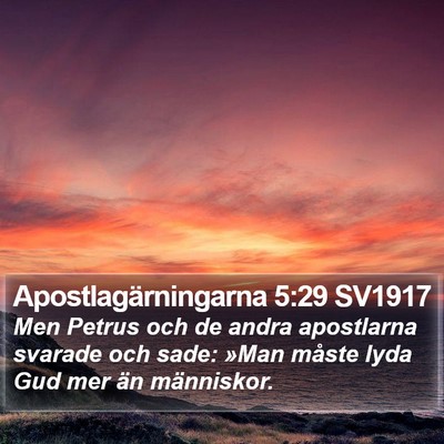 Apostlagärningarna 5:29 SV1917 Bible Verse Image