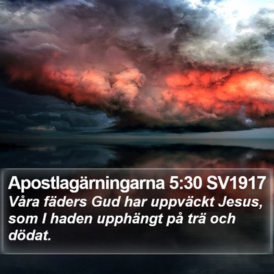 Apostlagärningarna 5:30 SV1917 Bible Verse Image