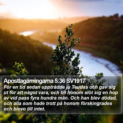 Apostlagärningarna 5:36 SV1917 Bible Verse Image