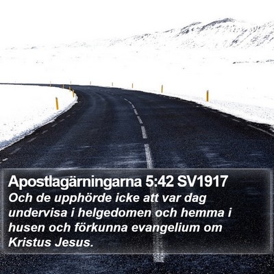 Apostlagärningarna 5:42 SV1917 Bible Verse Image
