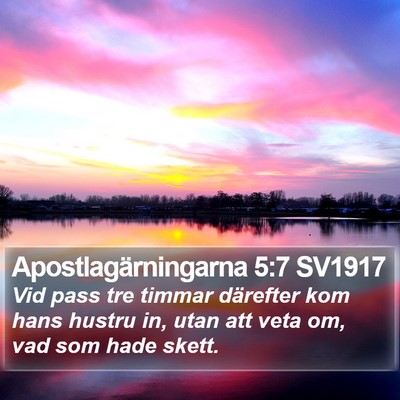 Apostlagärningarna 5:7 SV1917 Bible Verse Image