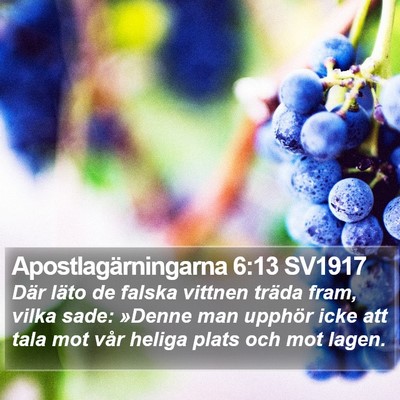 Apostlagärningarna 6:13 SV1917 Bible Verse Image