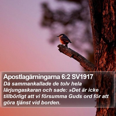 Apostlagärningarna 6:2 SV1917 Bible Verse Image