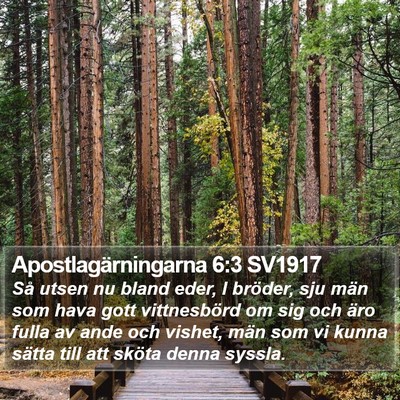 Apostlagärningarna 6:3 SV1917 Bible Verse Image