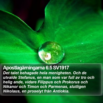Apostlagärningarna 6:5 SV1917 Bible Verse Image