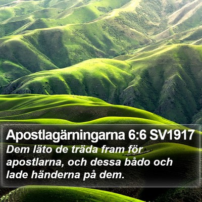 Apostlagärningarna 6:6 SV1917 Bible Verse Image