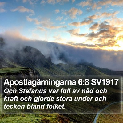 Apostlagärningarna 6:8 SV1917 Bible Verse Image