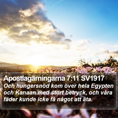 Apostlagärningarna 7:11 SV1917 Bible Verse Image