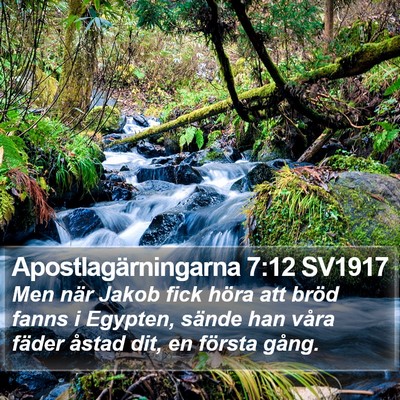 Apostlagärningarna 7:12 SV1917 Bible Verse Image