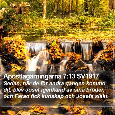 Apostlagärningarna 7:13 SV1917 Bible Verse Image