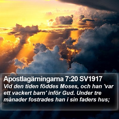 Apostlagärningarna 7:20 SV1917 Bible Verse Image