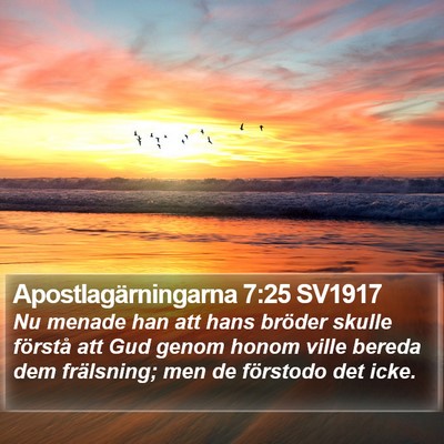 Apostlagärningarna 7:25 SV1917 Bible Verse Image