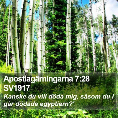 Apostlagärningarna 7:28 SV1917 Bible Verse Image