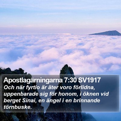 Apostlagärningarna 7:30 SV1917 Bible Verse Image