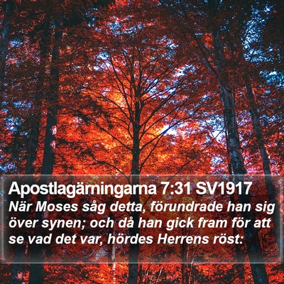 Apostlagärningarna 7:31 SV1917 Bible Verse Image