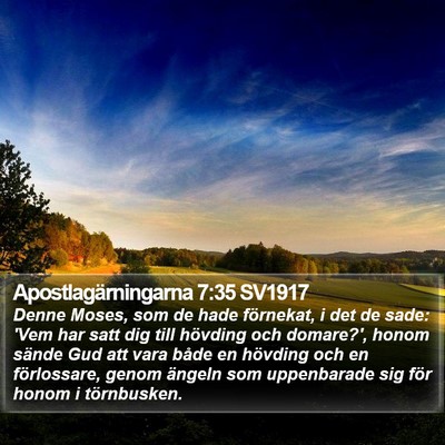 Apostlagärningarna 7:35 SV1917 Bible Verse Image