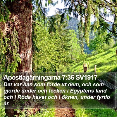 Apostlagärningarna 7:36 SV1917 Bible Verse Image
