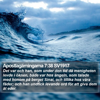 Apostlagärningarna 7:38 SV1917 Bible Verse Image