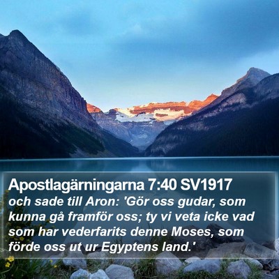 Apostlagärningarna 7:40 SV1917 Bible Verse Image